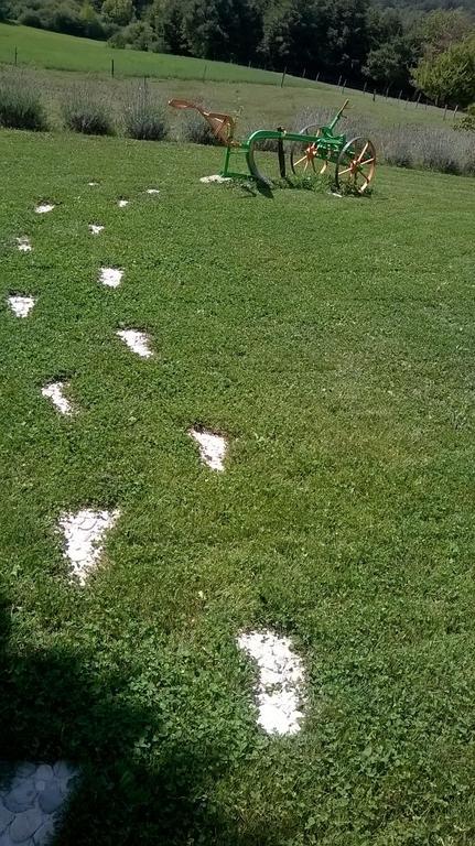 Hotel Agroturism Stara Stala Borut Exteriér fotografie