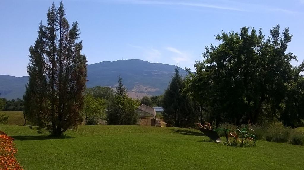 Hotel Agroturism Stara Stala Borut Exteriér fotografie