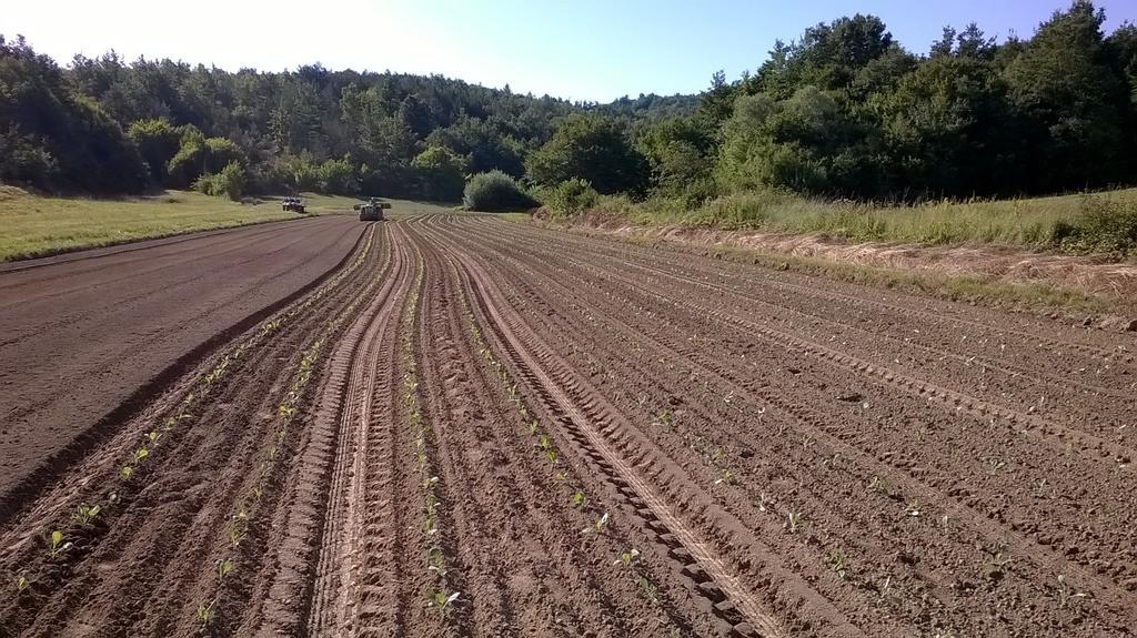 Hotel Agroturism Stara Stala Borut Exteriér fotografie