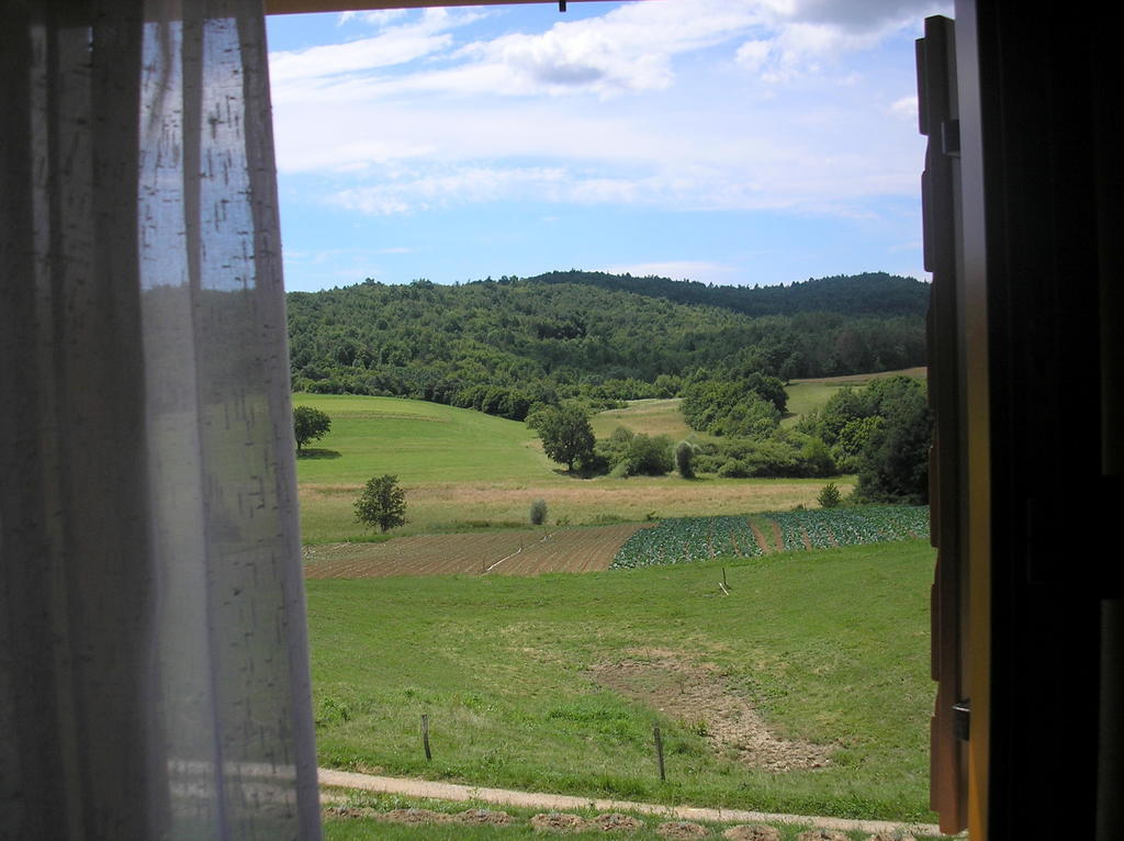 Hotel Agroturism Stara Stala Borut Pokoj fotografie
